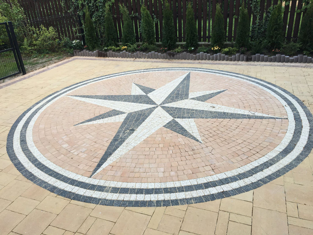 bizon_dariusz_piwowarczyk_mw_featured