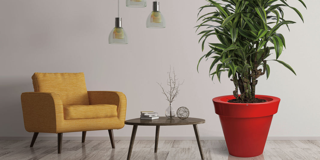 decolovin_mw_featured