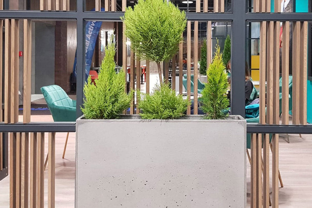 Donice betonowe mrozoodporne do ogrodu: inwestycja w styl