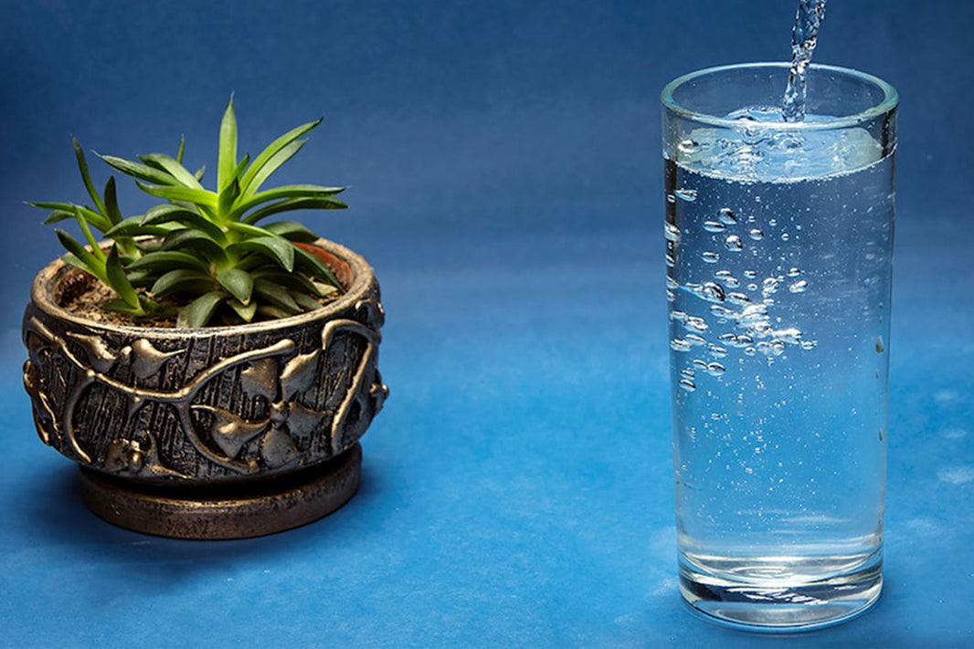 Funkcjonalne wnętrze zaczyna się od jakości wody i powietrza