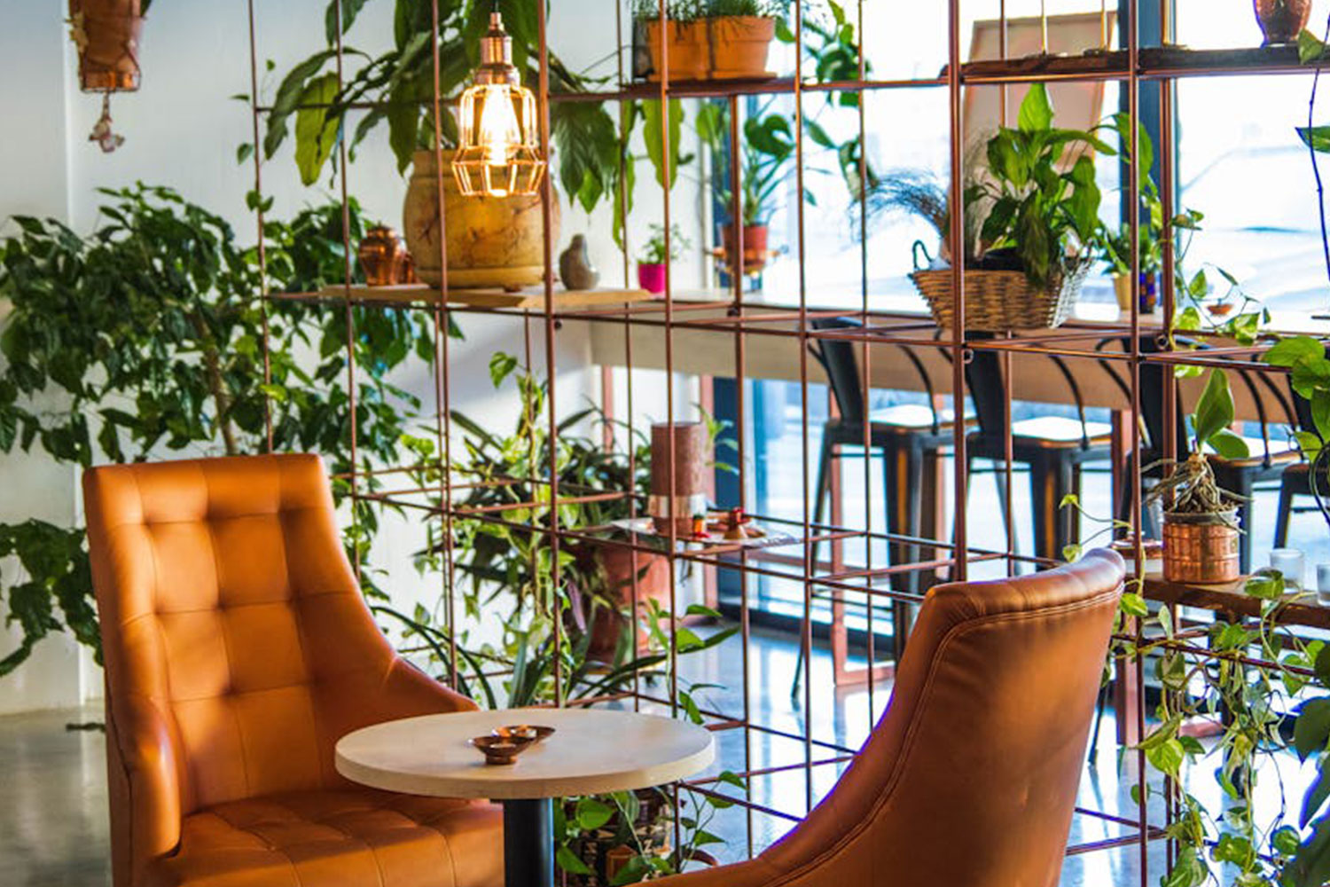 Funkcjonalny ogród jako przestrzeń do przechowywania i relaksu