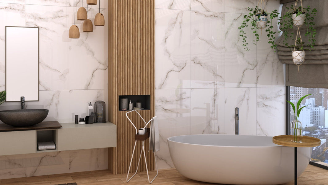 netto_plus_sp._z_o.o._sp._k._mw_featured