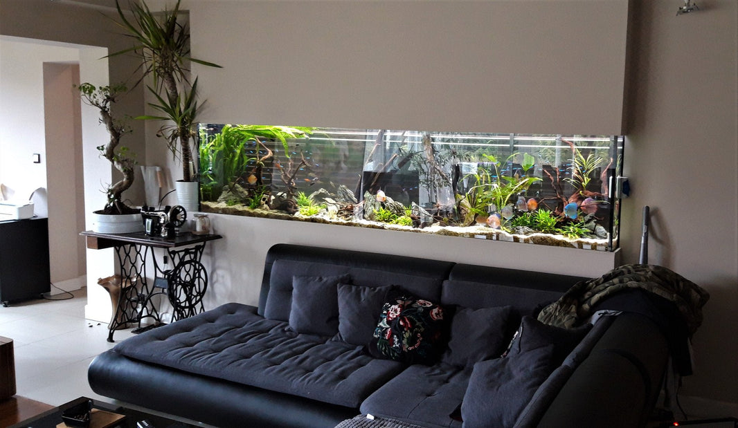 nemo-aquaria_mw_featured