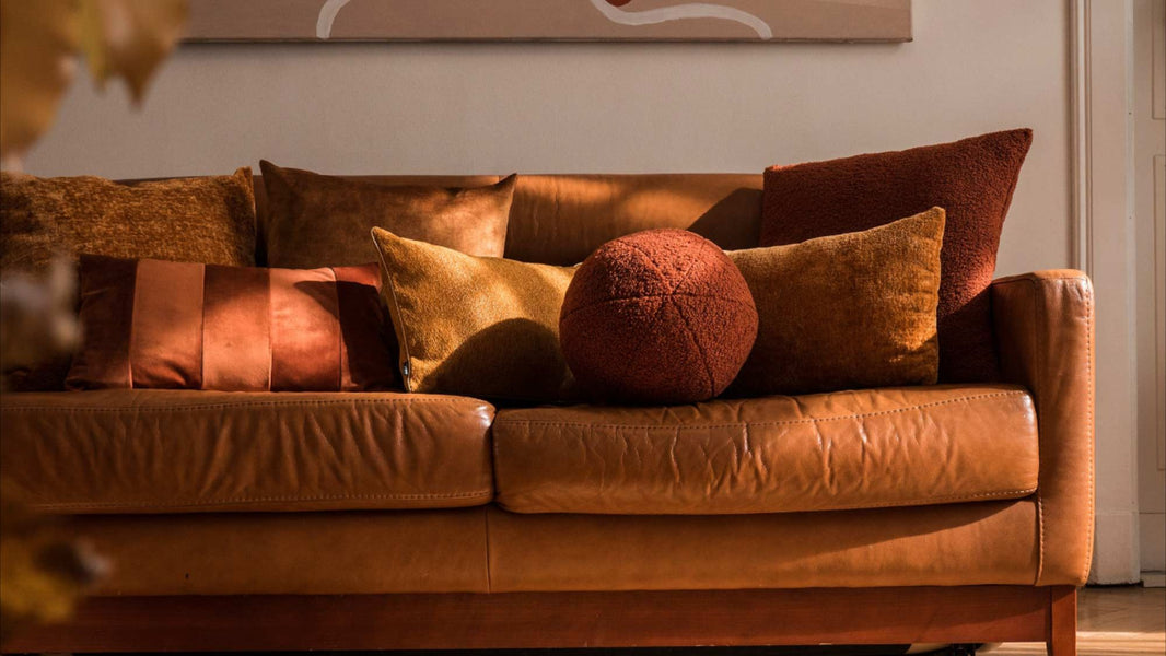 poduszkowcy_mw_featured