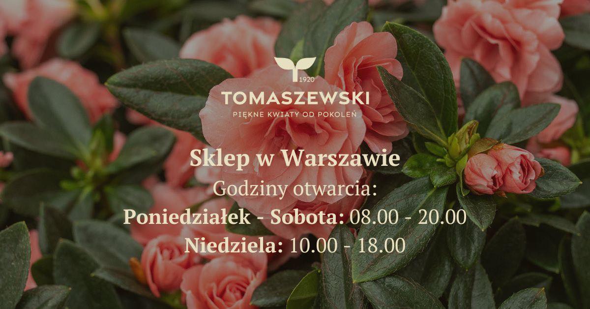 tomaszewski_sp._z_o.o._mw_featured