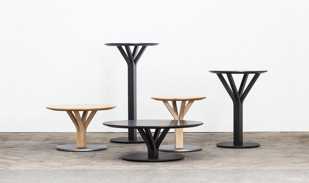 ton_s.a._mw_featured