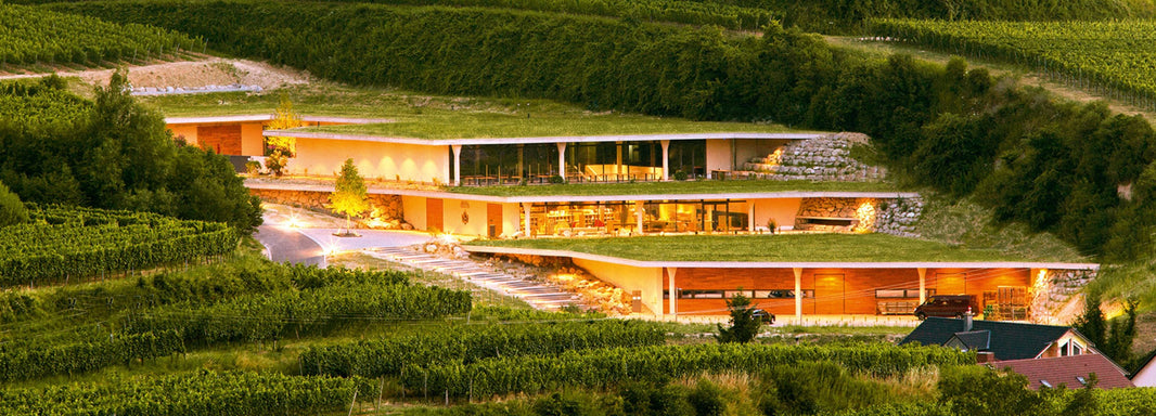 optigruen_polska_optigrün_international_ag_/_zielony_dach_mw_featured