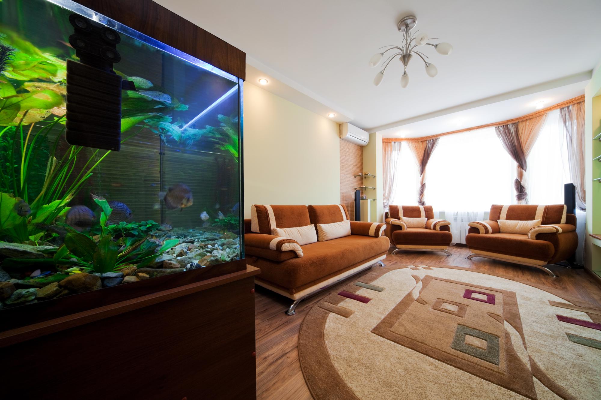 2. Duże akwarium w mieszkaniu - jakie gatunki?