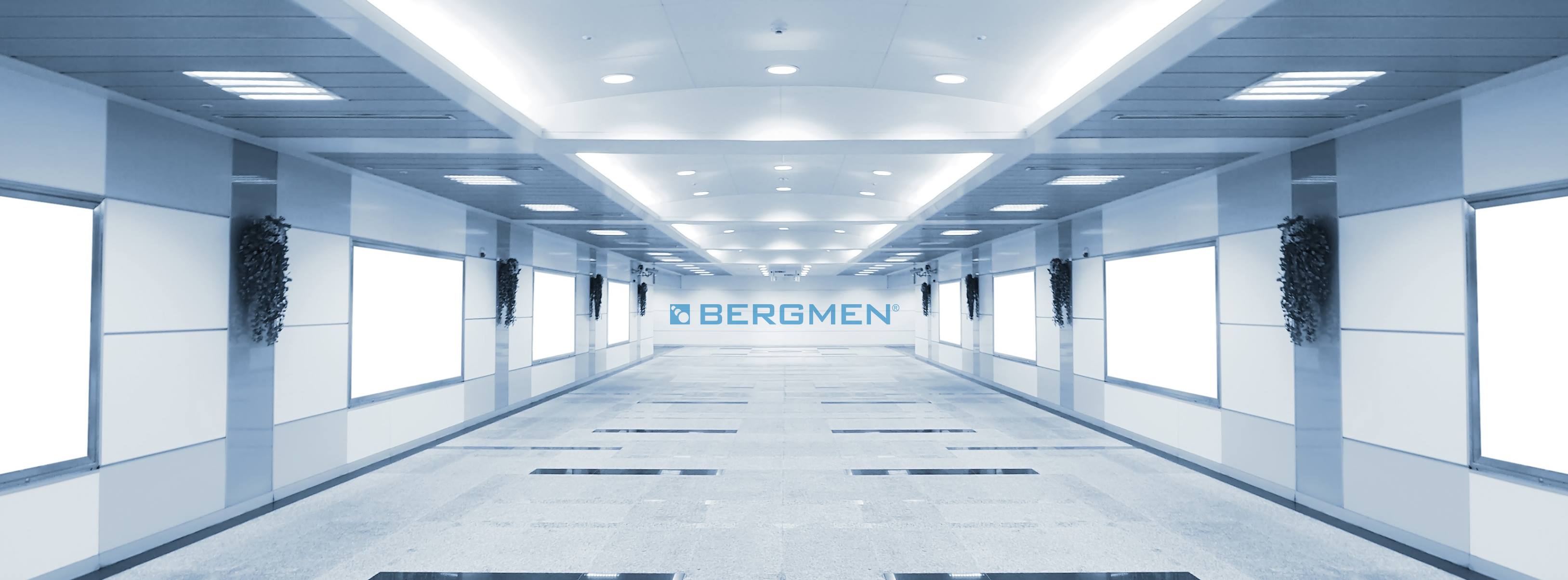 Bergmen 1