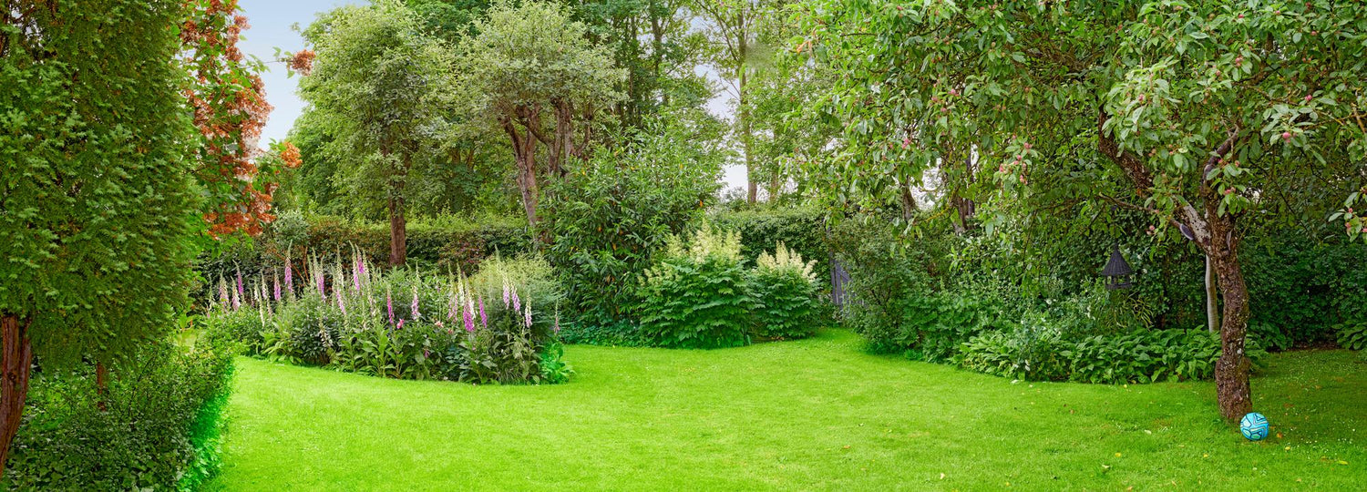 Zakładanie trawnika koło domu - zielony zakątek blisko Ciebie