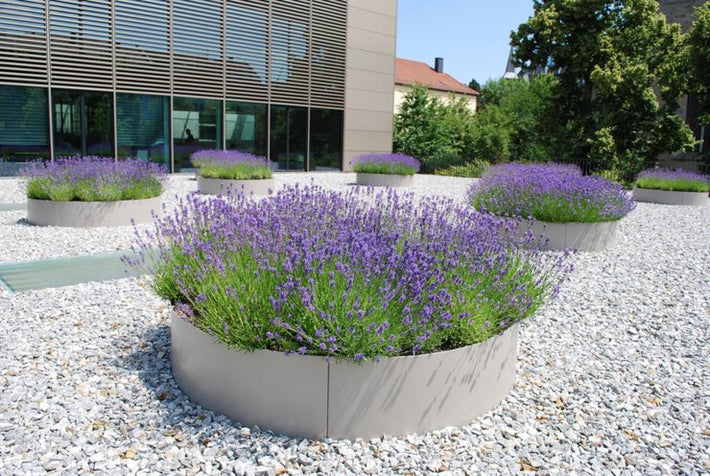 Optigruen polska optigrün international ag / zielony dach 5